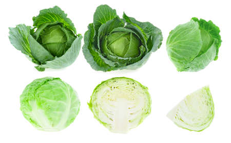 whole green cabbage isolated on whiteの写真素材