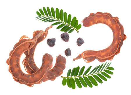 Tamarind fruit top view on white background.の写真素材