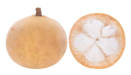 santol fruit isolated on white backgroundの写真素材