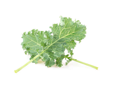 Kale vegetables isolated on white backgroundの写真素材