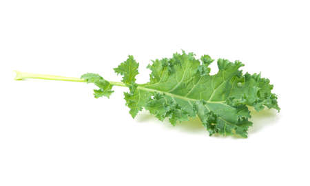 Kale vegetables isolated on white backgroundの写真素材