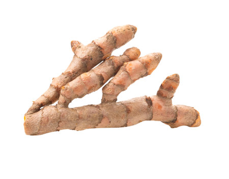 fresh turmeric isolated on white background