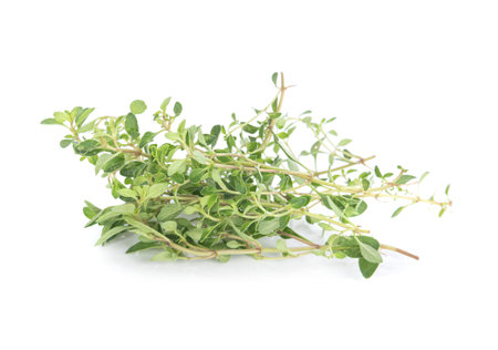 Herbal tea leaves isolated on white backgroundの写真素材
