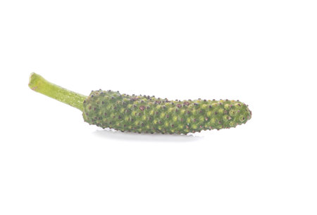Long pepper isolated on white backgroundの写真素材