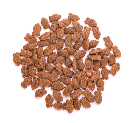 Cat food isolated on white backgroundの写真素材