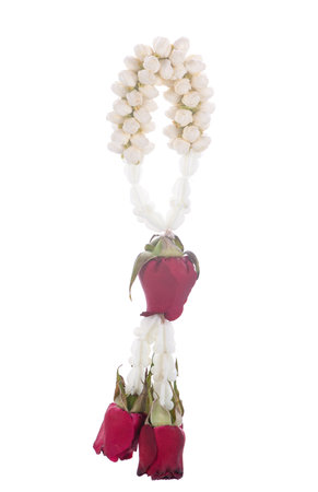 jasmine garland isolated on white backgroundの写真素材