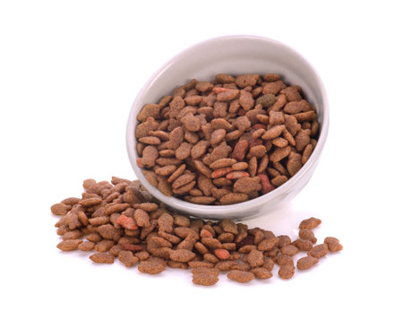 Cat food isolated on white backgroundの写真素材