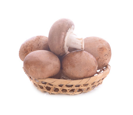 fresh shiitake mushrooms isolated on white backgroundの写真素材
