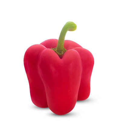 bell pepper  isolated on white backgroundの写真素材