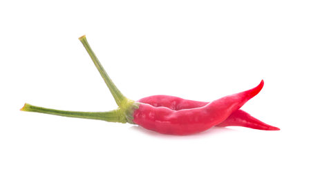 fresh chili isolated on white backgroundの写真素材