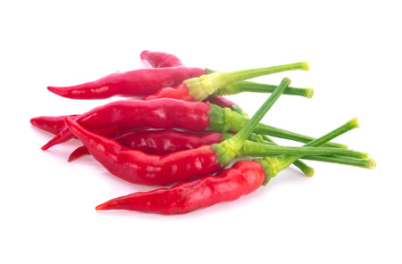 fresh chili isolated on white backgroundの写真素材