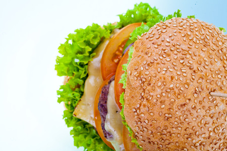 Burger And Friesの写真素材