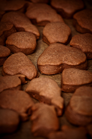 Gingerbread cookiesの写真素材