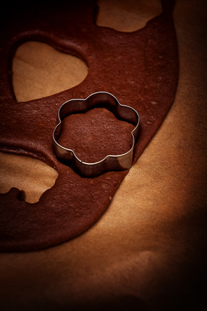 Gingerbread cookiesの写真素材