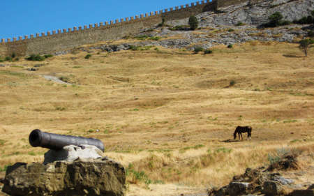 Cannon and horse on yellow dry grass, foltress wallの写真素材
