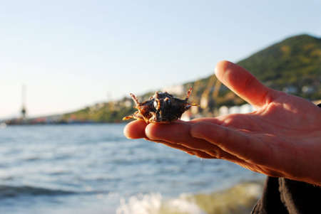Sea fish on the hand