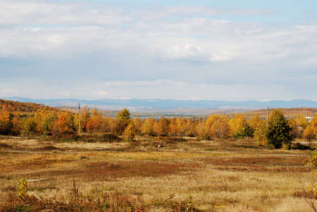 Autumn landscape with sky, grove and mountains on the backgroundの写真素材