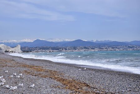 Sea coast in cold weather and gullsの写真素材