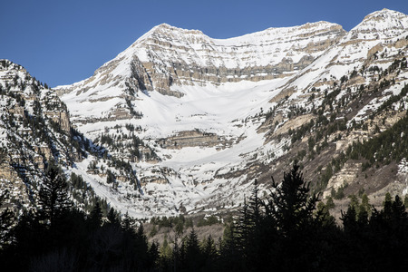 Utah Wasatch Mountain scene springtime snow pines