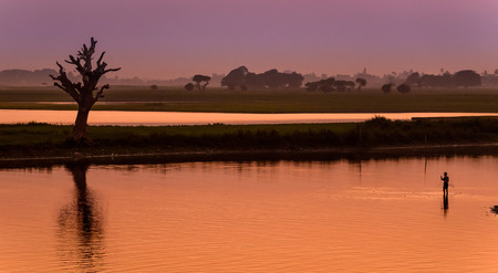 Fisherman and tree silhouette in Myanmarの写真素材