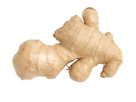 Ginger root isolated on white background. Top view. Flat lay.の写真素材