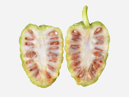 Sliced Noni fruit isolated on white background.の写真素材