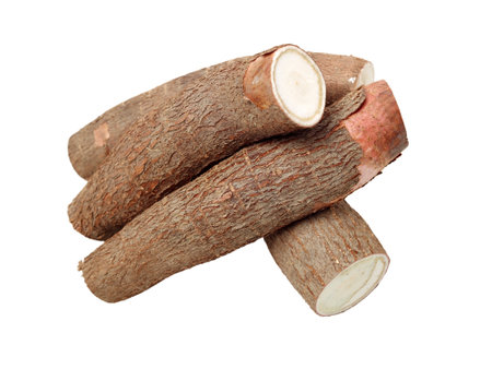 Cassava roots isolated on white background. Clipping path included.の写真素材