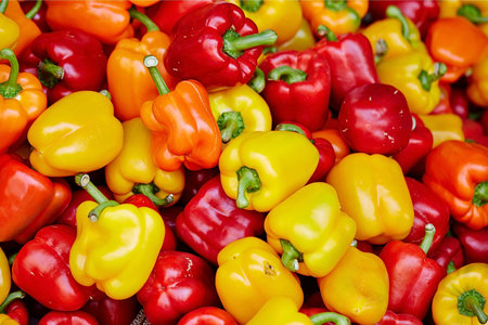 Red and yellow bell peppers on the market stall, close-upの写真素材