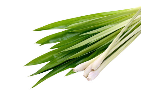 Fresh isolated on white background. Clipping pathの写真素材