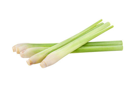 Fresh lemongrass isolated on white background. Clipping pathの写真素材