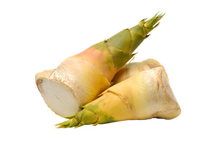 bamboo shoot isolated on white background with Clipping Paths.の写真素材