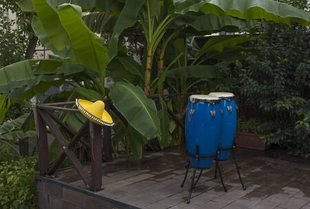 two blue congas drum and yellow sombrero on a background of palm treesの写真素材
