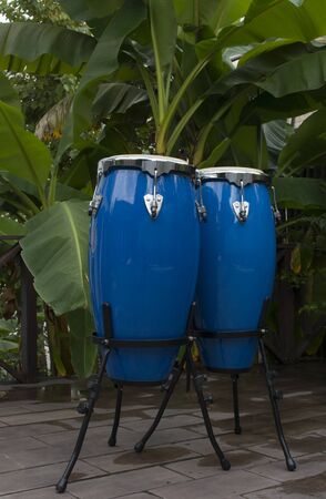 two blue congas on a background of palm trees