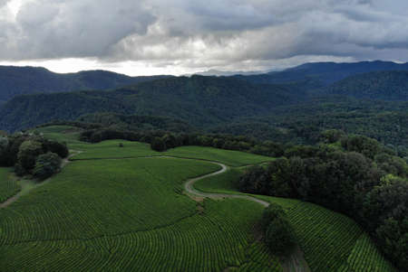 Aerial view over agricultural fields and road. Dark clouds in the skyの写真素材