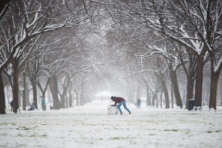 Making a snowman in dcの写真素材