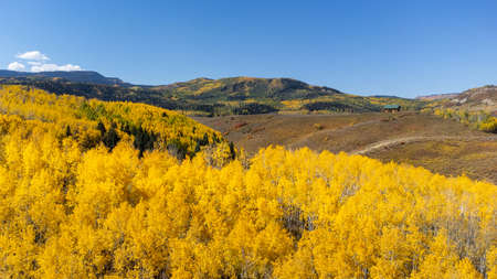Colorado Fall Colorsの写真素材