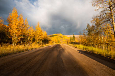 Roadtrip to Trappers Lakeの写真素材