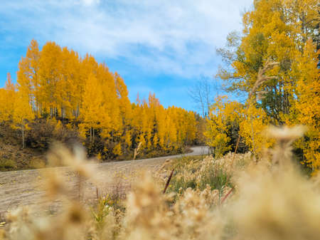 Roadtrip to Trappers Lakeの写真素材