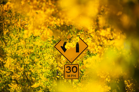 Roadsign - Colorado fall colorsの写真素材