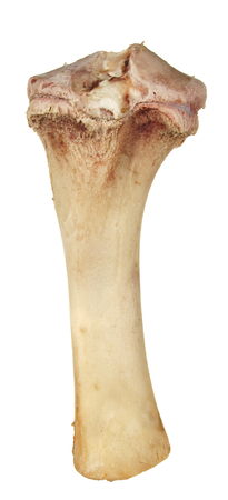 bone without meat isolated on white background.