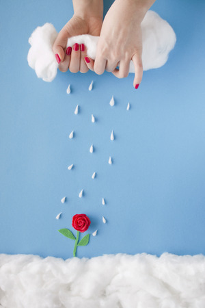 Two hands squeezing rain from a cloud over a tiny handmade red flower, in a heavenly scenery with clouds made of cotton-wool, on a blue sky paper background.の写真素材