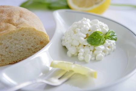 Fresh cheeseの写真素材