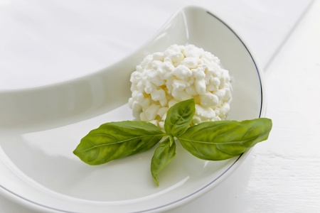 Fresh cheeseの写真素材