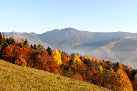 The mountains. Carpathian Ukraineの写真素材