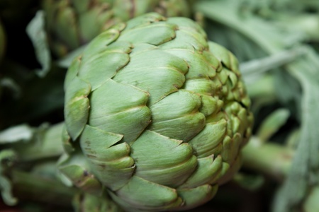 Fresh organic artichoke at the local marketの写真素材