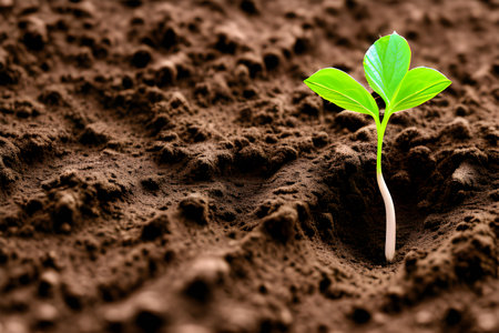 Green seedling illustrating concept of new life and development. 3d renderの素材
