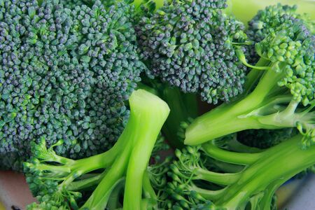 Vegetable