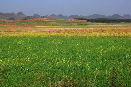 Field landscapeの写真素材