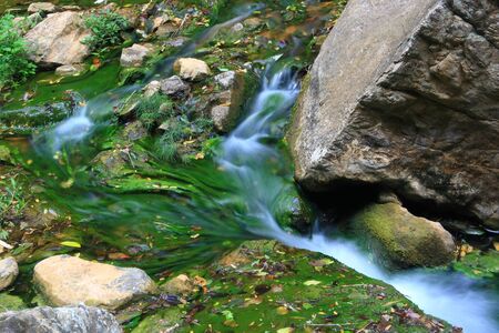Green creek
