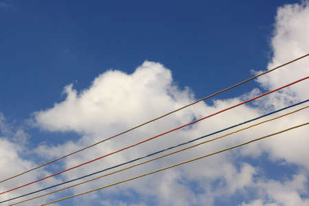 Closeup of antennasの写真素材
